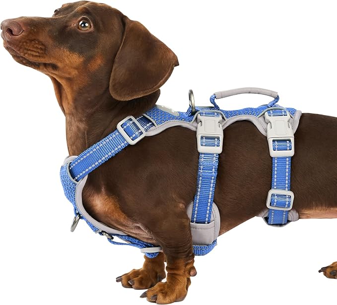Huntboo Escape Proof Harness for Dogs, No Escape Dog Harness, No Pull Dog Harness for Small Dogs with Handle, Reflective, Breathable,Durable, Adjustable Vest for Walking,and Running Gear(Vista Blue,S)
