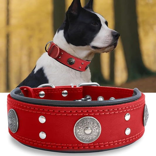 Genuine Leather Dog Collar for Large Dogs,2 in Wide Heavy Duty,RD-L | Handmade,Stainless Steel Pin Buckle,Soft Padded,Alloy Studded,Luxury Eye-catching Design,Medium Large Giant Breeds,21-25 in
