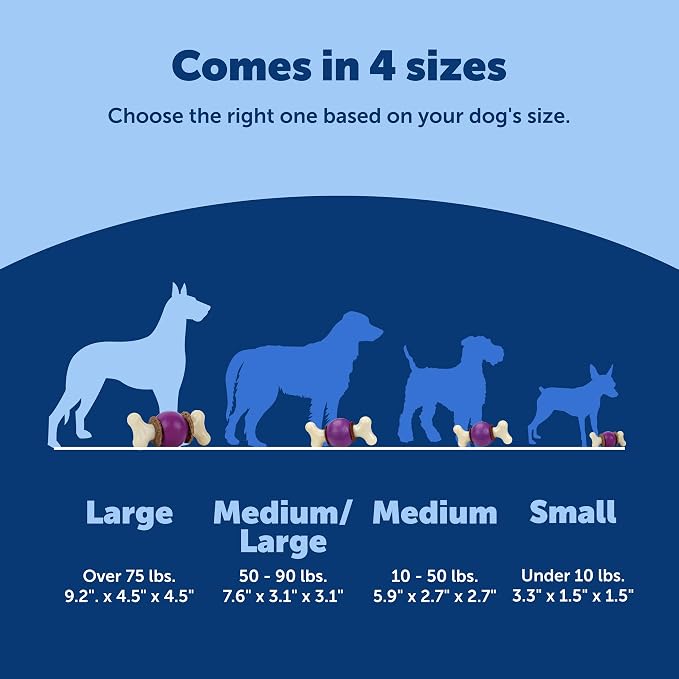PetSafe Busy Buddy Bouncy Bone, Treat Holding Dog Toy, Large, Best for Dogs Over 75 Lb.