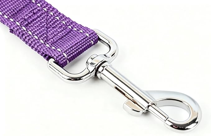 6 FT Reflective Dog Leash, Nylon Heavy Duty Leashes with Soft Padded Handle for Small Medium Large Dogs Walking, 1 Inch Wide Purple