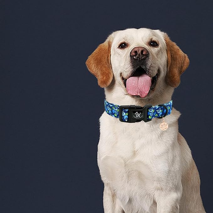 Elegant little tail Dog Collar-Cute Pet Dog Collar Blueberry Print Cotton Soft Boy Puppy Adjustable Pet Collars for Small Medium Large Dogs, Medium