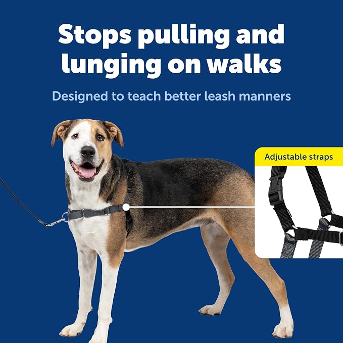 PetSafe Easy Walk No-Pull Dog Harness - Ultimate Harness to Help Stop Pulling - Pull-Free Walks - Take Control & Teach Better Leash Manners - Patented Martingale Loop Design - Charcoal Gray, X-Large