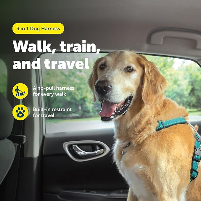 PetSafe 3 in 1 No-Pull Dog Harness for Large Dogs - Walk, Train or Travel - Helps Pets from Pulling on Walks - Seatbelt Loop Doubles as Quick Access Handle - Reflective- Large, Teal