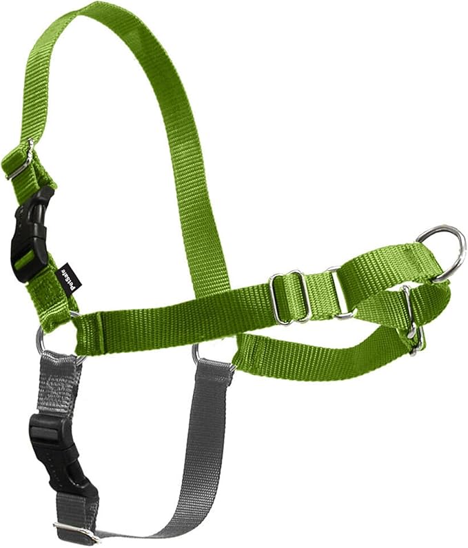 PetSafe Easy Walk No-Pull Dog Harness - Ultimate Harness to Help Stop Pulling - Pull-Free Walks - Take Control & Teach Better Leash Manners - Patented Martingale Loop Design - Green, Small/Medium
