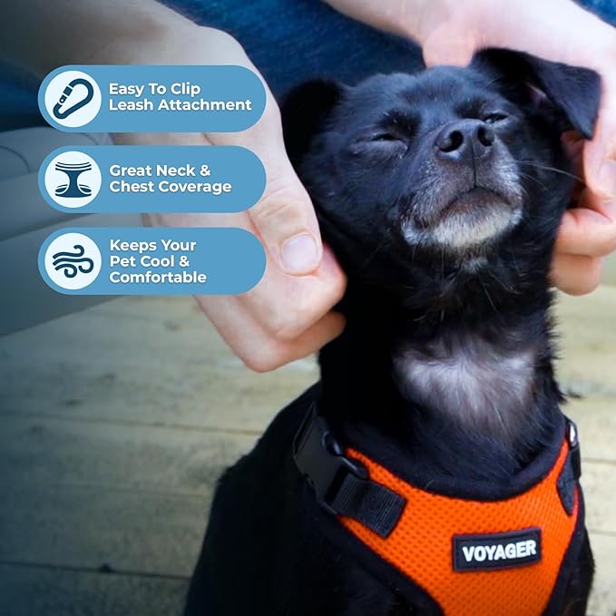 Voyager Step-in Pet Harness - All Weather Mesh, Adjustable Step in Harness for Cats and Dogs by Best Pet Supplies - Orange/Black Trim, XL