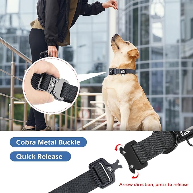 Dog Colla for Small Dogs Christmas Boy Girl - Adjustable, Chew Proof Nylon Collar with Metal Quick Release Buckle and D-Ring for Dog Tags (New York Afterlight, S(0.5''Width, Fit 11''-15''))