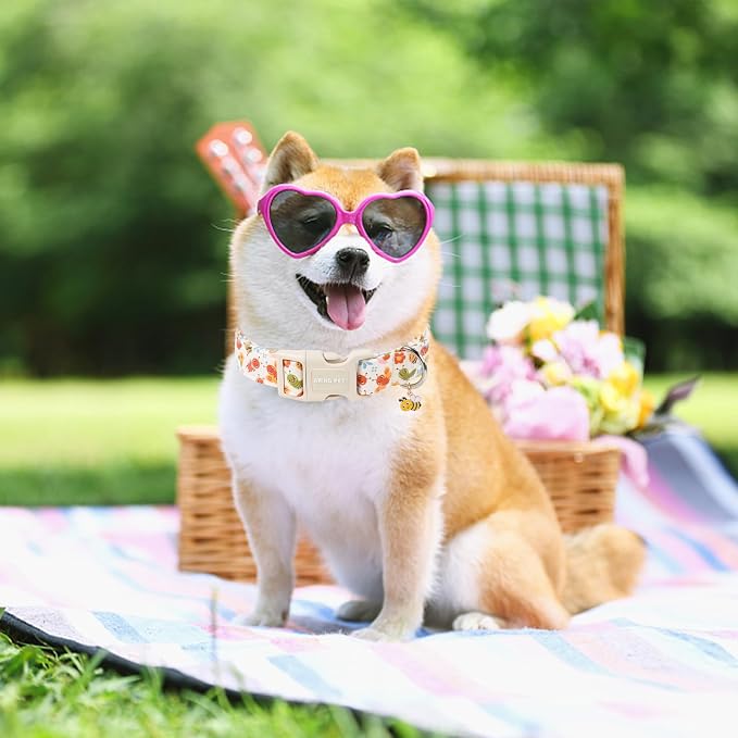ARING PET Dog Collar, Cute Spring Summer Insects Bee Floral Doggy Collars with Quick Release Buckle for Puppy Small Medium Large Dogs-XS