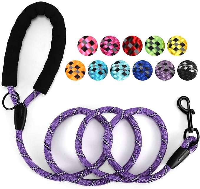 Heavy Duty Dog Leash - 4.9 FT for Large and Small Dogs - Strong Nylon, Comfortable Handle, Reflective Stitching - Ideal for Walking, Training, and Outdoor Activities, Purple