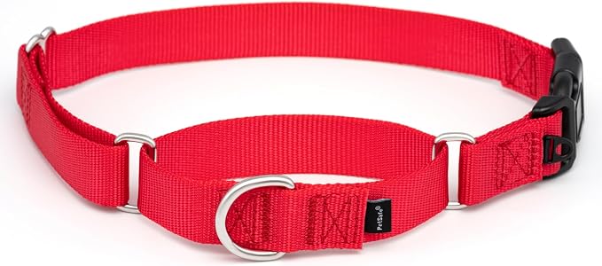 PetSafe Martingale Dog Collar with Quick-Snap Buckle - Large, 1 Inch, Red