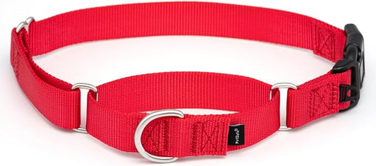 PetSafe Martingale Dog Collar with Quick-Snap Buckle - Large, 1 Inch, Red
