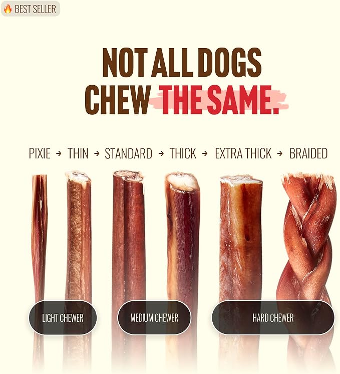Natural Farm Extra-Thick 12-Inch Beef Bully Sticks Dog Chews (10-Pack) - Odor-Free Dental Treats for Dogs