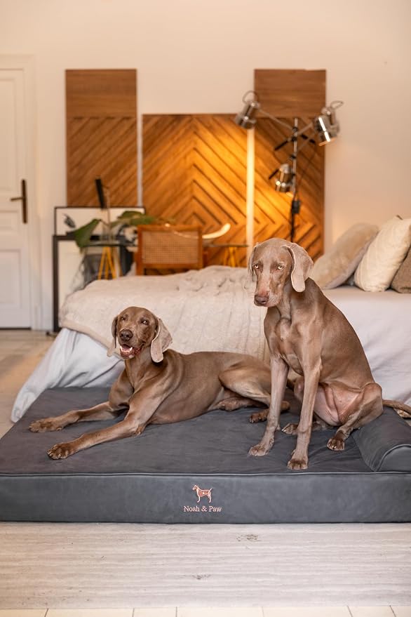 NOAH & PAW Giant Dog Bed XXL 55x45x9.5 Inch, Orthopedic Dog Beds, Eggshell Memory Foam Infused with Cooling Gel, Water Resistant, Machine Washable, Includes Inner Cover (Faux Leather)
