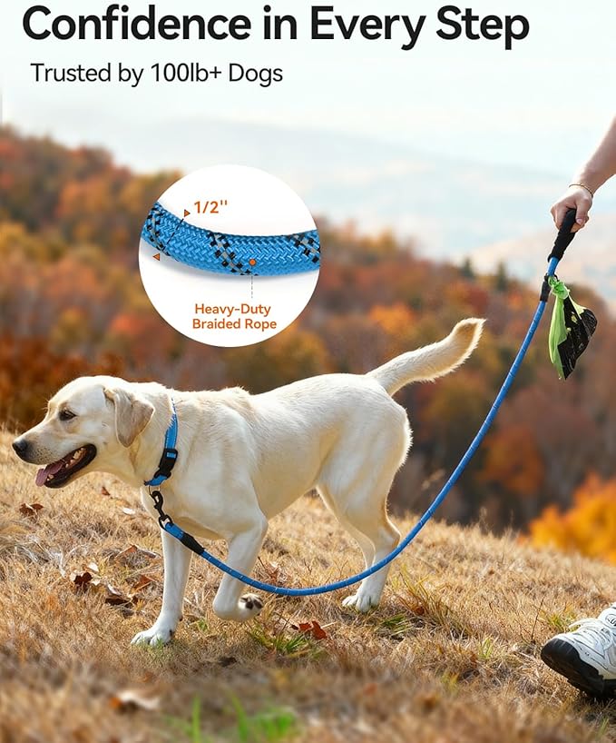 Joytale Dog Leash for Large Dogs, Heavy Duty Nylon Leashes with Comfortable Padded Handle and Highly Reflective Threads, Ideal for Walking and Training, SkyBlue, 6'×1/2''