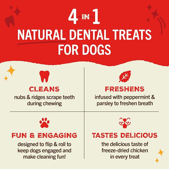 Stella & Chewy's Dental Delights with Freeze-Dried Chicken - Large Dental Treats for Dogs, 23.2 Ounce Bag