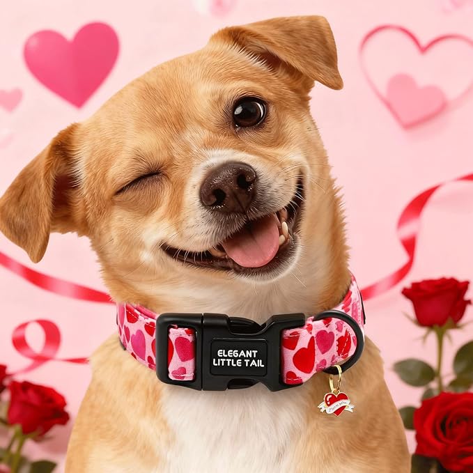 Elegant little tail Valentine's Dog Collar - Red Heart Dog Collars Cotton Puppy Adjustable Pet Collars with Sturdy Quick Release Buckle for X-Small Dogs