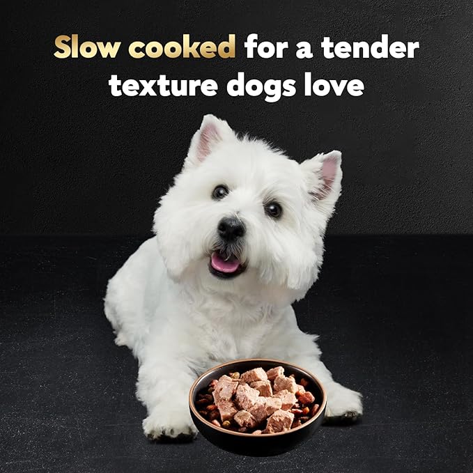 Cesar Wet Dog Food Classic Loaf in Sauce, Filet Mignon Flavor, Porterhouse Steak Flavor, Grilled Steak & Eggs Flavor, and Beef Flavor, 3.5 oz. Easy Peel Trays, Variety Pack, 60 Count