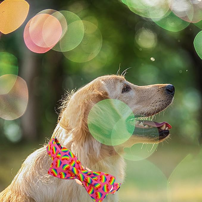 Elegant little tail Dog Collar, Rainbow Pet Collars LGBT for Pride Month Pet Collars Girl Boy Adjustable Dog Collar for Small Dogs
