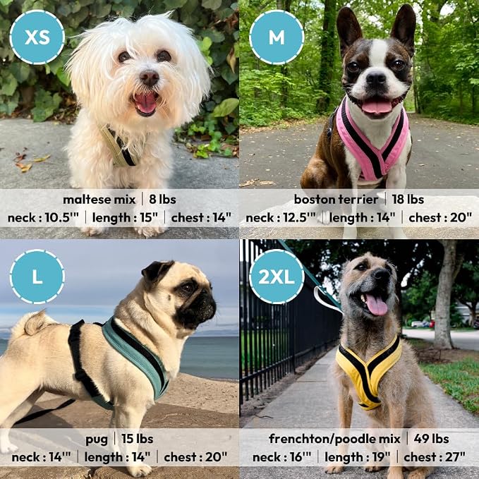 Gooby Comfort X One Dog Harness - Head-in Dog Harness for Small & Medium Sized Dogs - Escape-Free & Choke Free - Breathable Mesh, Shock Absorbing, Easy Snap & Swivel Buckles - Atlanta Peach, Large