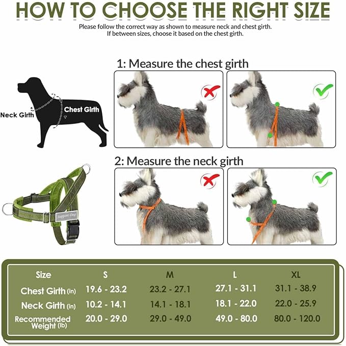 Lukovee No Pull Dog Harness and Leash Set - Adjustable Soft Padded Vest with Front Clip for Easy Control, Reflective Durable Harness for Safe Daily Training Walking for Medium Large Dogs (L, Green)
