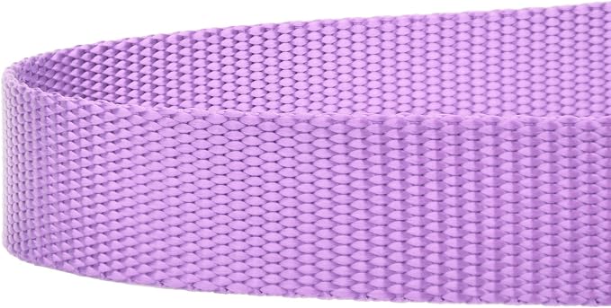 Country Brook Petz - Everyday Nylon Dog Leash - Strong, Durable, Solid Color Leash with Easy to Use Snap - 25+ Colors (1 Inch Wide, 6 Foot, Lavender)