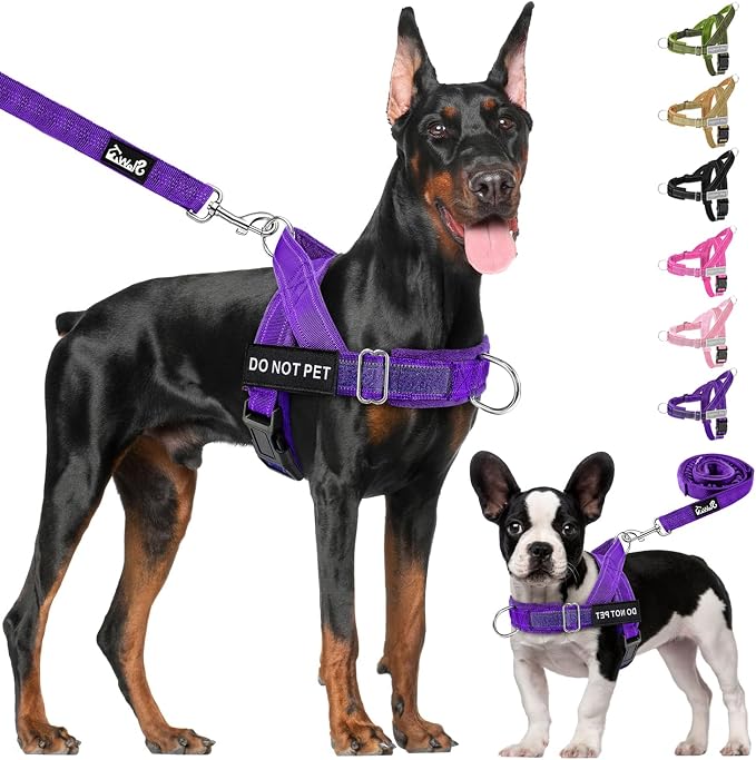 Lukovee No Pull Dog Harness and Leash Set - Adjustable Soft Padded Vest with Front Clip for Easy Control, Reflective Durable Harness for Safe Daily Training Walking for Medium Large Dogs (S, PU)