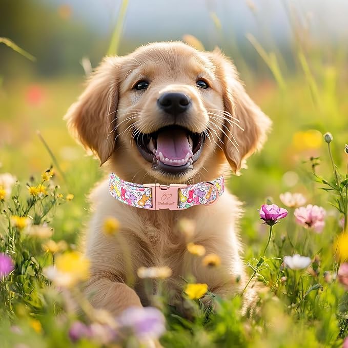 Easter Dog Collar, Colorful Bunny Easter Collars for Puppy Small Dogs, Cute Spring Boy Girl Dog Collars, Adjustable Heavy Duty Holiday Pet Collar with Metal Buckle XS