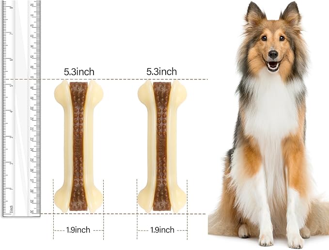 Dog Bones for Aggressive Chewers, 6 Pack Nylon Chew Toys, Real Beef Flavor, Durable Teething Toys for Medium/Small Dogs
