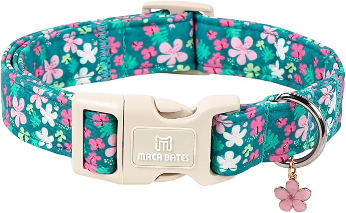 Maca Bates Spring Green Floral Dog Collar with Cherry Charm for Medium Girl Boy Dogs, Pink Flower Pattern,Pretty Blossom Adjustable Durable Soft Flowers Collars Gift for Male Female Puppy