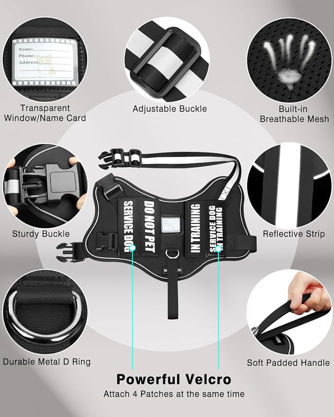 Service Dog Vest Harness and Leash Set+10 Patches for Puppy Small Dogs,Do Not Pet Emotional Support Dog Vest with 2 Soft Padded Handle for Everyday/Training (Black XS)