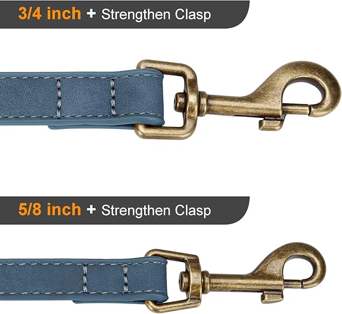 Didog Stylish PU Leather Dog Leash for Small Dogs, Easy to Clean 5ft Small Dog Leash with Metal Tangle-Free Clip, Fashionable and Elegant for Walking, Running and Training,Blue, S