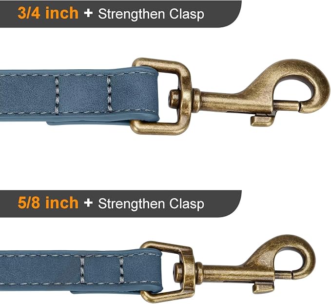 Didog Stylish PU Leather Dog Leash for Medium Dogs, Easy to Clean 5ft Dog Leashes for Large Dogs, Fashionable and Elegant for Walking, Running and Training,Blue, M