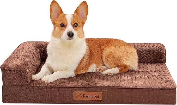 Rainmr Orthopedic Dog Bed Medium Size Dog, Memory Foam Dogs Bed for Medium Dogs, Washable Removable Cover, Nonskid Bottom, Waterproof, for Indoor, Outdoor, Crate ＆ Car Use, 35x23x6 Inches, Brown Grey