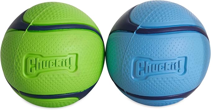 Chuckit! Sniff Fetch Balls Canister, Pack of 4, for Medium Dog Breeds (20-60 lbs)