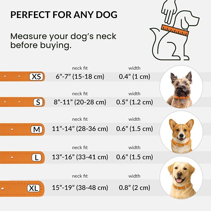 CollarDirect Rolled Leather Dog Collar, Soft Padded Round Puppy Collar, Handmade Genuine Leather Collar Dog Small Large Cat Collars 13 Colors (11-14 Inch, Orange Smooth)