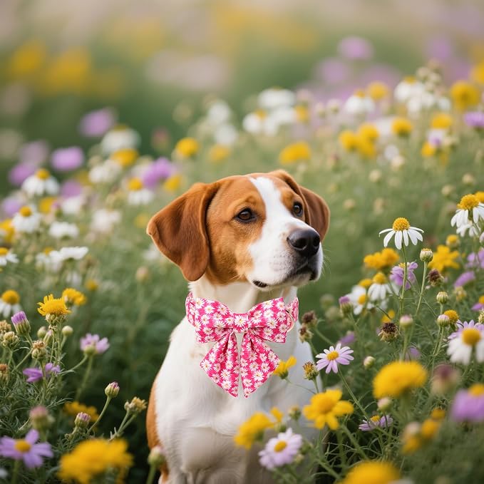 Unique style paws Cartoon Dog Collar with Bowtie Spring Summer Collar with Flower Rose Daisy for Small Medium Large Boys Girls Dogs