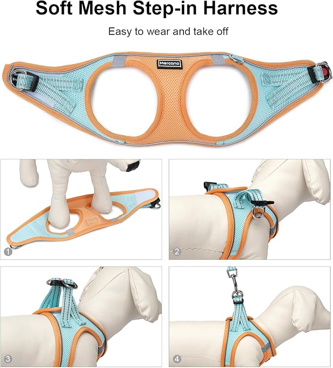 Mercano Soft Mesh Dog Harness and Leash Set, Step-in Reflective Breathable Lightweight Vest Harnesses with Safety Buckle for Small Dogs, Cats (L, Orange Blue)