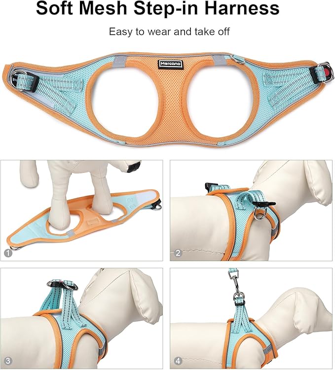 Mercano Soft Mesh Dog Harness and Leash Set, Step-in Reflective Breathable Lightweight Vest Harnesses with Safety Buckle for Small Dogs, Cats (S, Orange Blue)