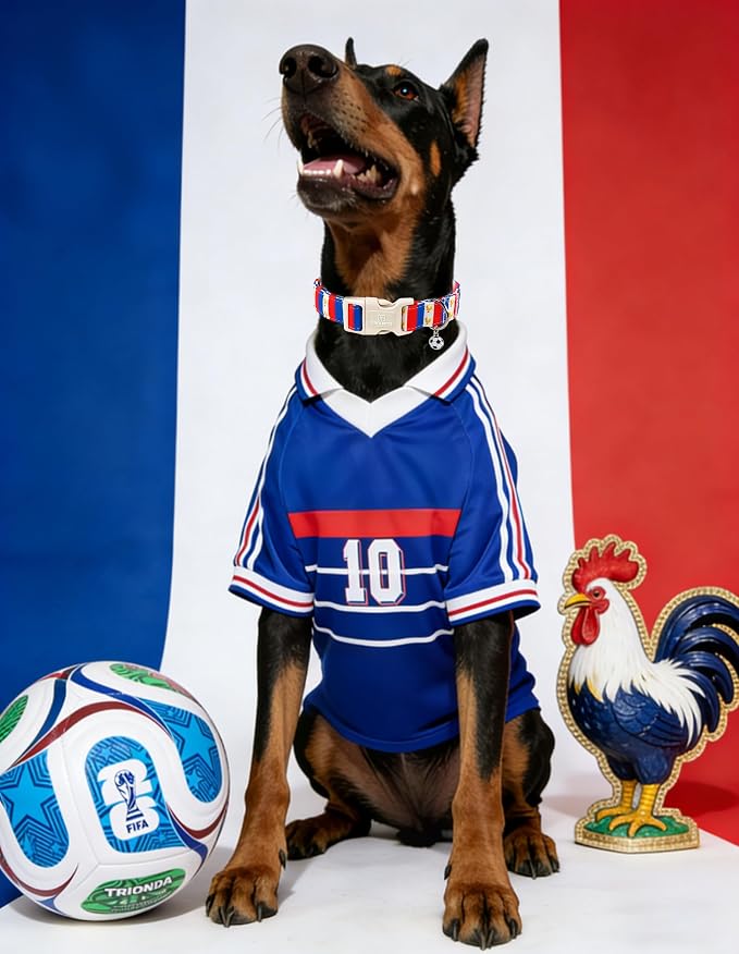 France World Cup Dog Collar with Soccer Pendant for Small Girl Boy Dogs, France Jersey Pattern, Adjustable Soft Durable Collar Gift for Male Female Puppies