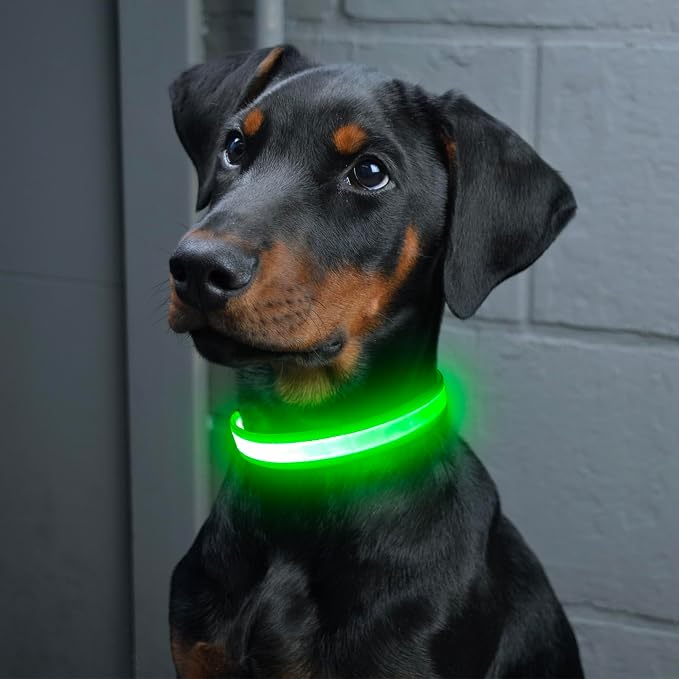 Vizpet LED Dog Collar, Light Up Dog Collar Adjustable USB Rechargeable Super Bright Safety Light Glowing Collars for Dogs(Medium,Green)