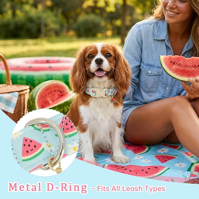 Summer Dog Collar, Cute Light Blue Puppy Collar with Watermelon Pattern, Cotton Adjustable Dog Collars for Small Medium Large Dogs, Gift for Boys Girls Dogs-XS