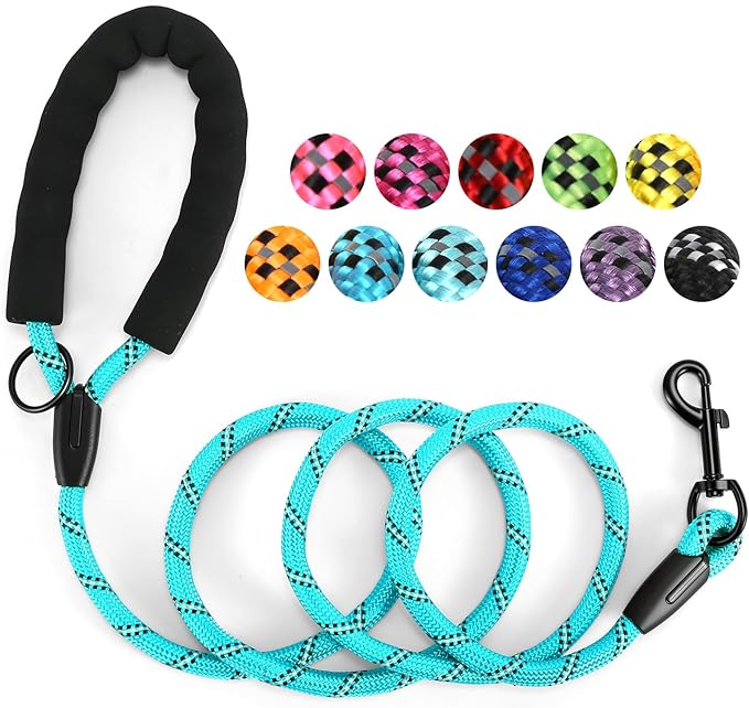 Heavy Duty Dog Leash - 4.9 FT for Large and Small Dogs - Strong Nylon, Comfortable Handle, Reflective Stitching - Ideal for Walking, Training, and Outdoor Activities, Turquoise