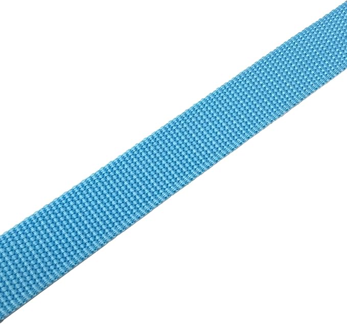 TAIAN 4 FT Strong Dog Leash, Nylon Dog Leashes for Small Medium Large Dogs Blue