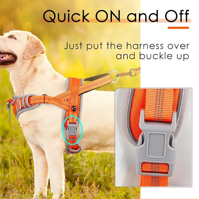 ADVENTUREMORE Dog Harness for Medium Dogs No Pull, Sport Dog Halter Harness Adjustable Reflective Dog Vest Escape Proof Dog Harness with Easy Control Front Clip Handle for Training Walking M Orange