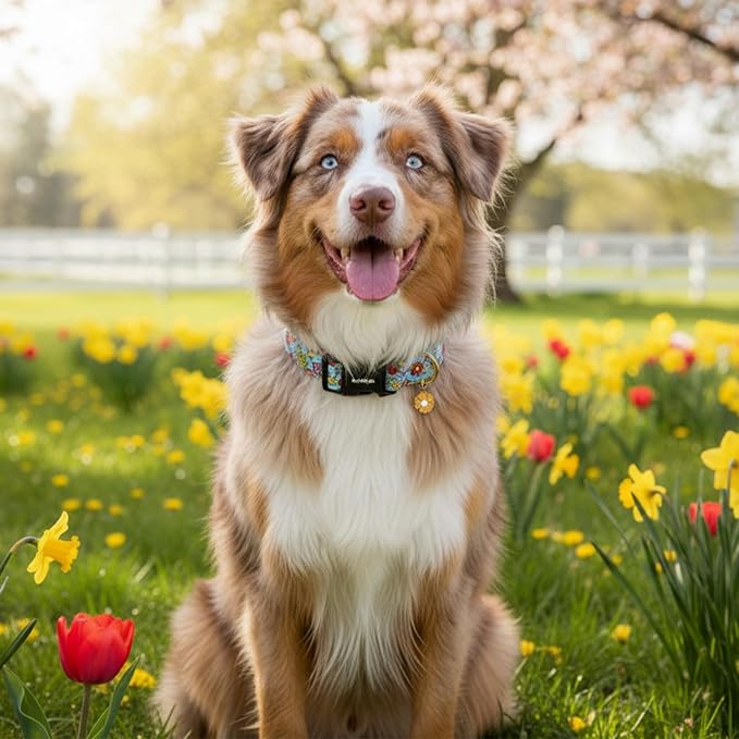 Dog Collar for Extra Small Dogs, Spring &Summer Theme Dog Collars with Colorful Flower Pattern, Adjustable Blue Small Dog Collars, Cute Girl or Boy Dog Collar Ideal for Gifts,Pet Accessory