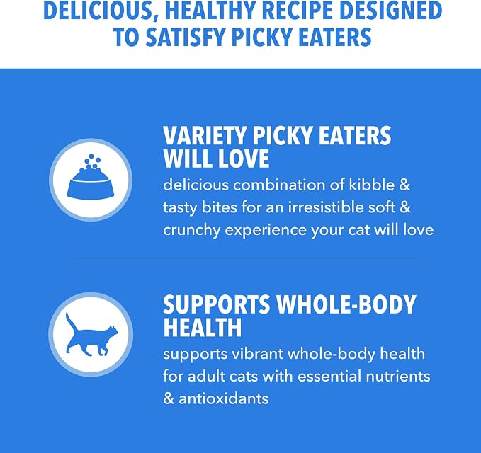 IAMS Healthy Enjoyment Dry Cat Food Chicken & Salmon Recipe, Cat Food Dry Recipe, 3 lb. Bag