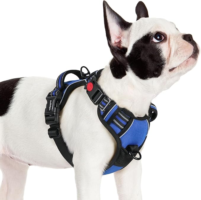rabbitgoo Dog Harness Small Sized, No Pull Easy On & Off with 3 Buckles Pet Harness, Adjustable Soft Walking Vest with 2 Clips and Handle, Reflective for Small Dogs, Blue, S
