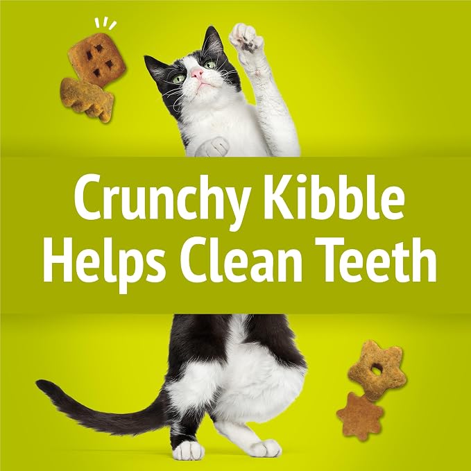 Purina Friskies Party Mix Morning Munch Crunch Cat Treats - (Pack of 10) 2.1 oz. Pouches