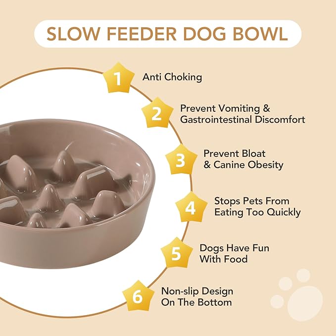 Havniva Ceramic Slow Feeder Dog Bowls, 0.9 Cups Dog Bowl Slow Feeding for Small Breed, 6.1inch Puzzle Dog Food Bowl Slow Feeder Non-Slip Anti-Gulping and Anti-Choking Reduces Bloating