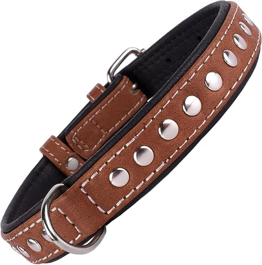 CollarDirect Studded Dog Collar Leather Pet Collars for Dogs Small Medium Large Puppy Soft Padded Brown Black (Brown, Neck fit 20" - 22")