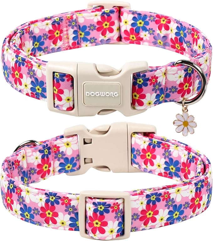 DOGWONG Purple Flower Dog Collar- Cute Daisy Flower Dog Collars Adjustable Girl Female Puppy Dog Collar for Small Medium Dogs, M